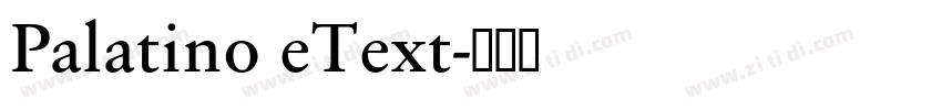 Palatino eText字体转换 Palatino eText字体转换